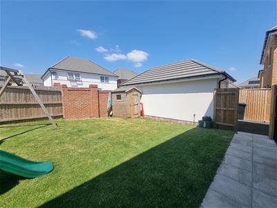 Picture 25